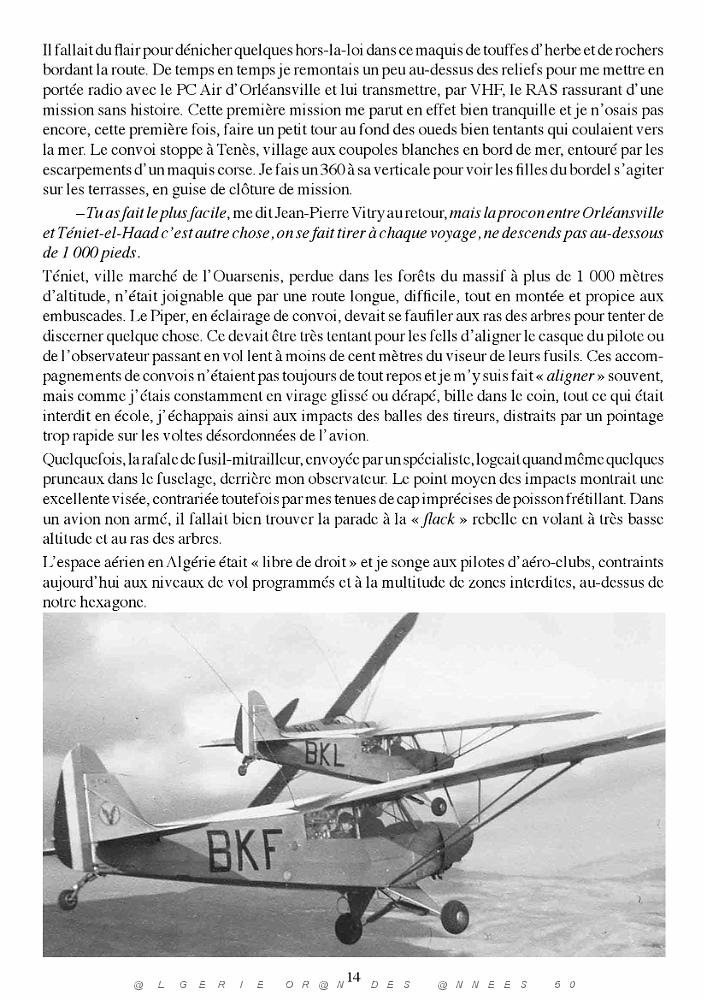 403-PEKINOIS VERT - MICHEL BUAILLON (18).jpg